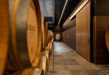 MARION SAUTREAU - GENESE ATELIER D'ARCHITECTURE